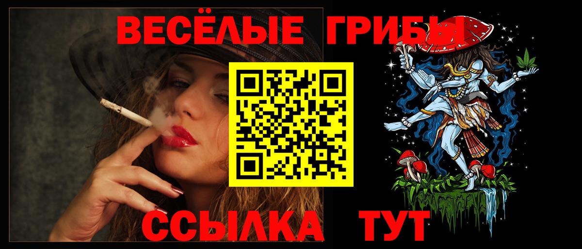 Галлюциногенные грибы Cubensis  Псилоцибиновые грибы мухоморы  Изобильный  Вход с VPN 
